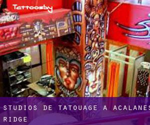 Studios de Tatouage à Acalanes Ridge