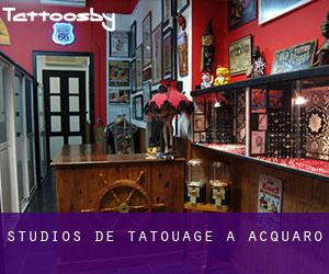 Studios de Tatouage à Acquaro