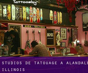 Studios de Tatouage à Alandale (Illinois)