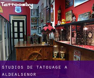 Studios de Tatouage à Aldealseñor