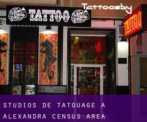 Studios de Tatouage à Alexandra (census area)