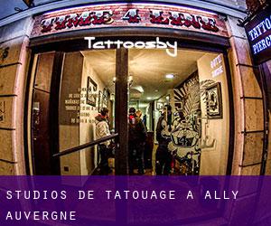 Studios de Tatouage à Ally (Auvergne)