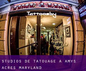 Studios de Tatouage à Amys Acres (Maryland)