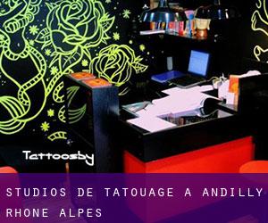 Studios de Tatouage à Andilly (Rhône-Alpes)