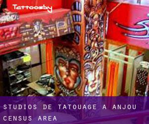 Studios de Tatouage à Anjou (census area)