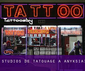 Studios de Tatouage à Anykščiai