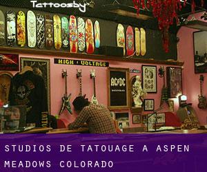 Studios de Tatouage à Aspen Meadows (Colorado)