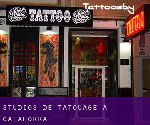 Studios de Tatouage à Calahorra