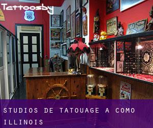 Studios de Tatouage à Como (Illinois)