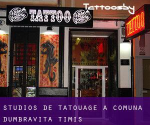 Studios de Tatouage à Comuna Dumbrăviţa (Timiş)