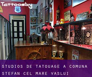 Studios de Tatouage à Comuna Ştefan cel Mare (Vaslui)