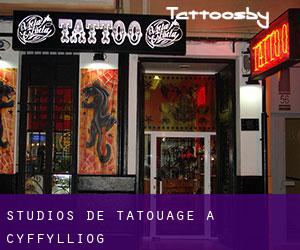 Studios de Tatouage à Cyffylliog