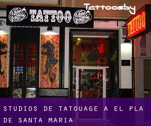 Studios de Tatouage à El Pla de Santa Maria