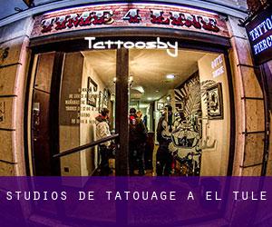 Studios de Tatouage à El Tule