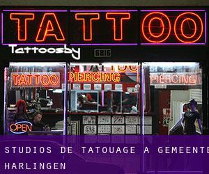 Studios de Tatouage à Gemeente Harlingen