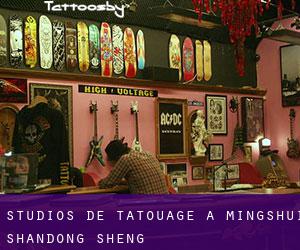 Studios de Tatouage à Mingshui (Shandong Sheng)