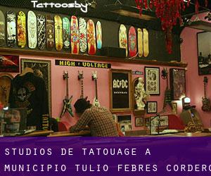 Studios de Tatouage à Municipio Tulio Febres Cordero