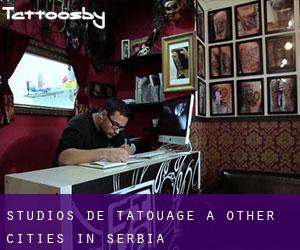 Studios de Tatouage à Other Cities in Serbia