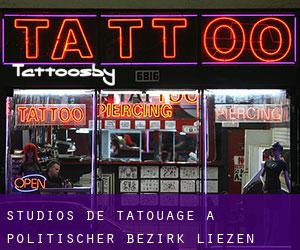 Studios de Tatouage à Politischer Bezirk Liezen