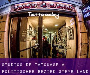 Studios de Tatouage à Politischer Bezirk Steyr-Land