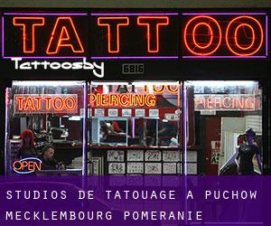 Studios de Tatouage à Puchow (Mecklembourg-Poméranie)