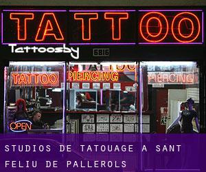 Studios de Tatouage à Sant Feliu de Pallerols