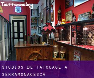 Studios de Tatouage à Serramonacesca