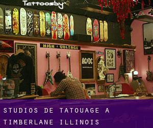 Studios de Tatouage à Timberlane (Illinois)
