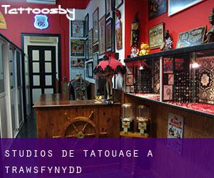 Studios de Tatouage à Trawsfynydd