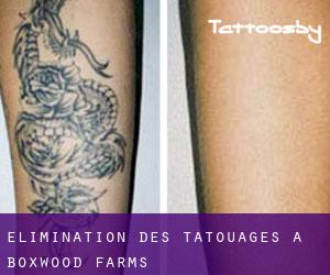 Élimination des tatouages à Boxwood Farms
