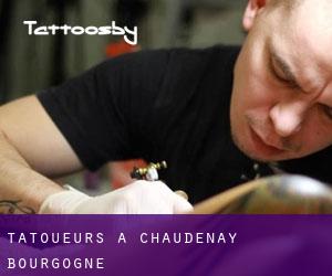 Tatoueurs à Chaudenay (Bourgogne)