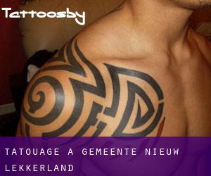 tatouage à Gemeente Nieuw-Lekkerland
