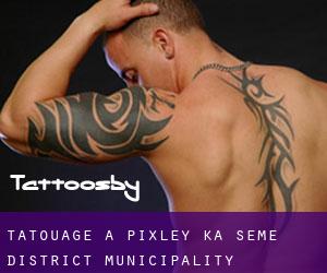 tatouage à Pixley ka Seme District Municipality
