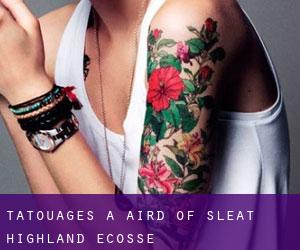 tatouages ​​à Aird of Sleat (Highland, Ecosse)