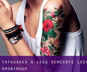 tatouages ​​à Leek (Gemeente Leek, Groningue)