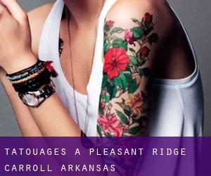 tatouages ​​à Pleasant Ridge (Carroll, Arkansas)